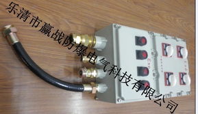 BXK69系列防爆控制箱 安全可靠，为工业防爆保驾护航