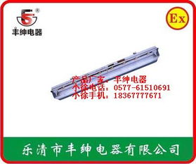 探秘BAY51-Q防爆防腐全塑荧光灯 化工与医疗场景的可靠之光