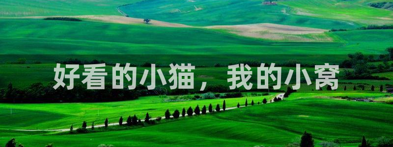 汗汗漫画网站首页：好看的小猫，我的小窝