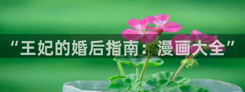 汗汗漫画在线阅读：“王妃的婚后指南：漫画大全”