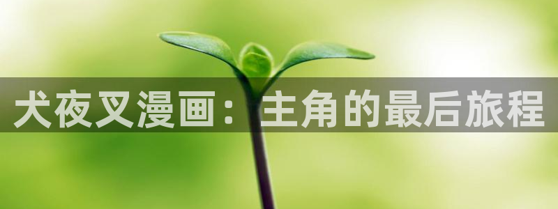 汗汗漫画免费漫画在线看