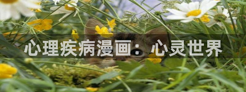汗汗漫画的