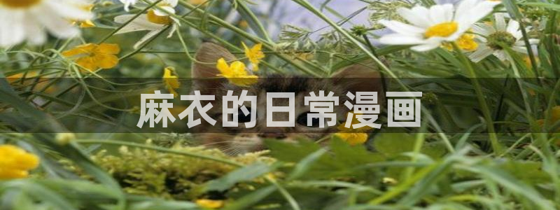 汗汗漫画免费