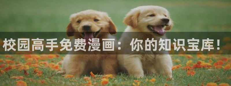 汗汗漫画在线观看