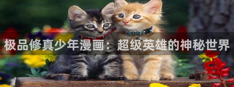 汗汗漫画直接看