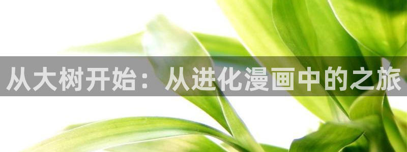 歪歪汗汗漫画sss下拉式